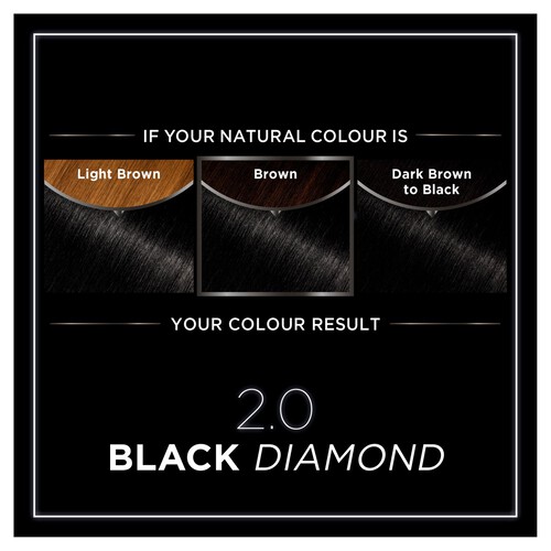 Garnier Olia 2.0 Black Diamond Permanent Hair Dye