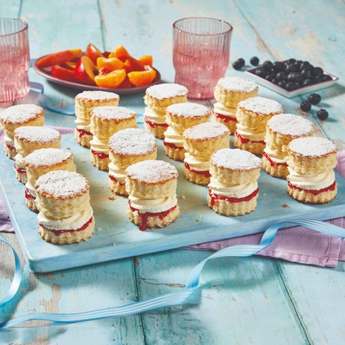 Raspberry Mini Sponge Sharing Platter (16 Pieces)   FTO