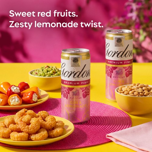 Gordon's Premium Pink Gin & Lemonade 5% vol Ready to Drink Can