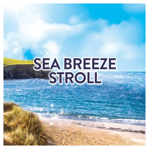 Lenor In Wash Scent Booster Sea Breeze Stroll 137G