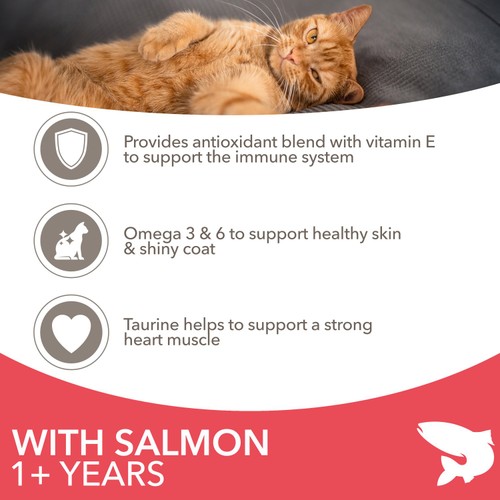 Iams For Vitality Cat Adult 1+ Years With Salmon 