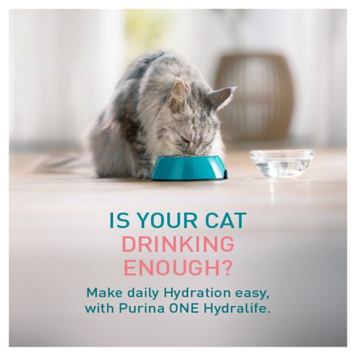 PURINA ONE HYDRALIFE with Salmon Liquid Cat Supplement 6x50g
