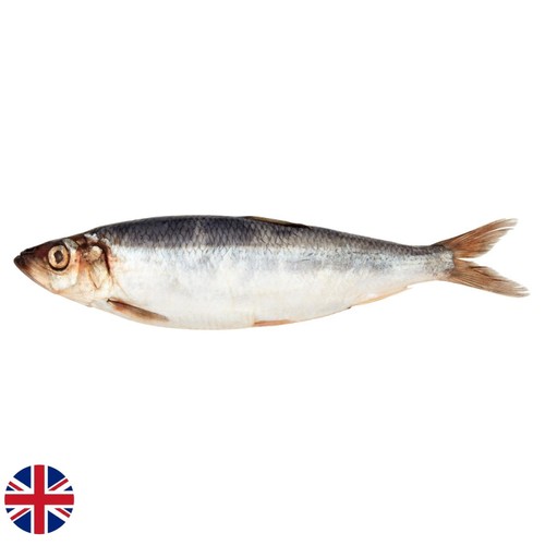 Market Street British Whole Herring 150g