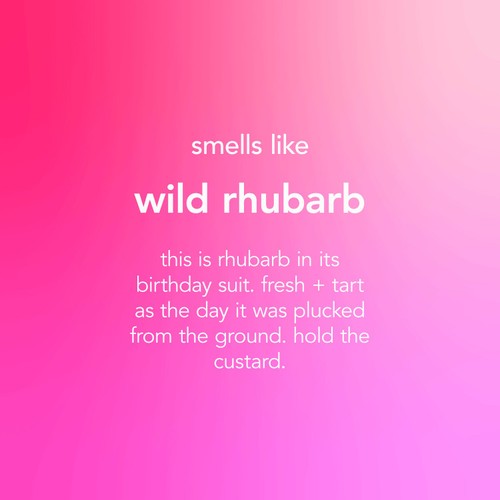 Method Anti-Bac All Purpose Cleaner Wild Rhubarb 