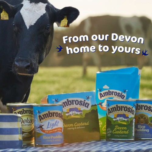 Ambrosia Devon Custard Dessert Can 400g
