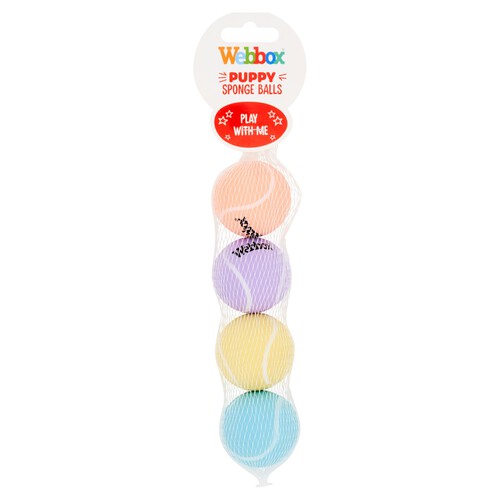 Webbox Puppy Sponge Ball Dog Toy