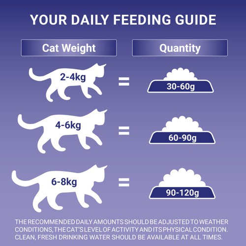 Purina One Senior 11+ Chicken Dry Cat Food 
