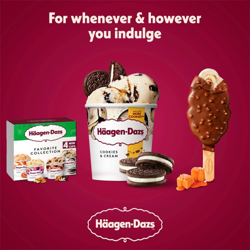 Haagen Dazs Cookies & Cream Ice Cream 