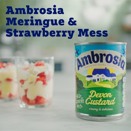 Ambrosia Devon Custard Dessert Can 400g