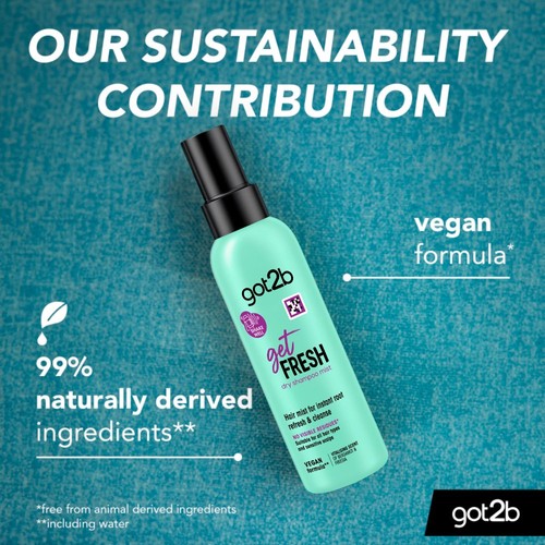 got2b Get Fresh Dry Shampoo Hair Mist 150