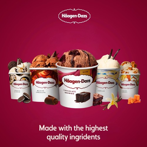 Haagen-Dazs Chocolate Brownie Ice Cream