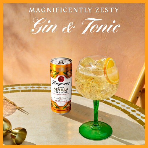 Tanqueray Flor de Sevilla Gin and Tonic 6.5% vol Premix Can