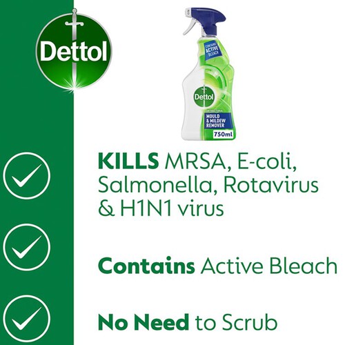 Dettol Antibacterial Disinfectant Mould & Mildew Remover Spray