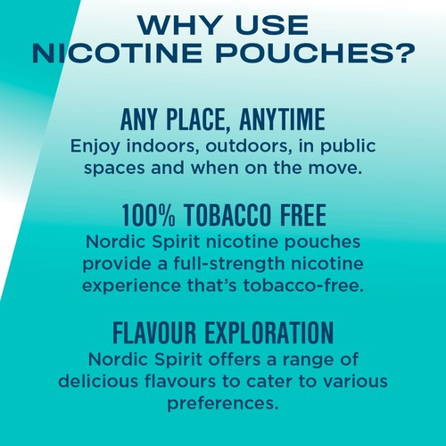 Nordic Spirit Spearmint Extra Strong 20 Nicotine Pouches