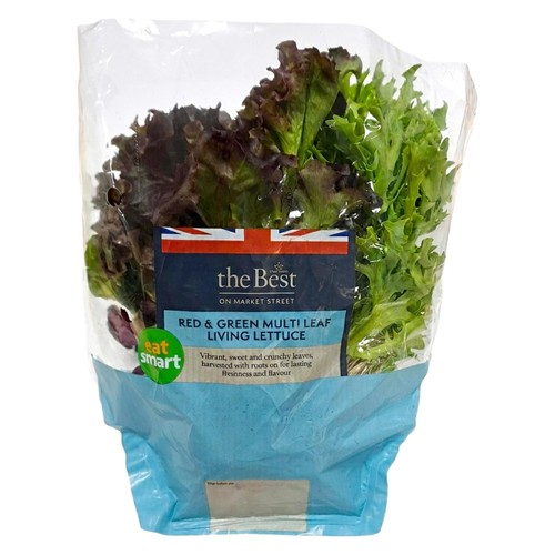Morrisons The Best Living Lettuce