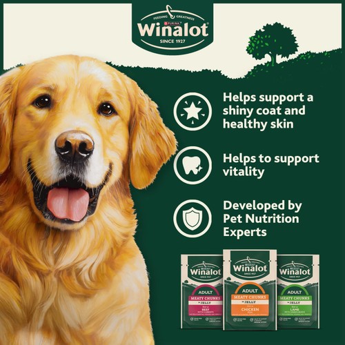 WINALOT Meaty Chunks Mixed in Jelly Wet Dog Food 12x100g