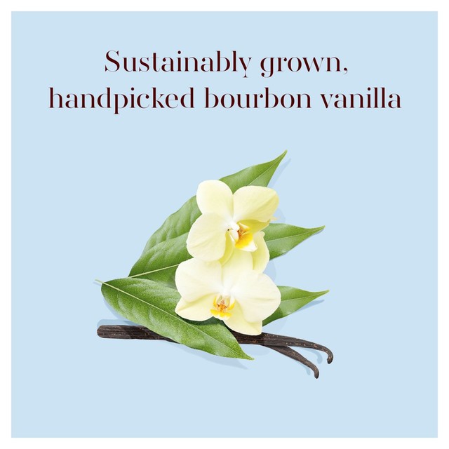 Madagascar Vanilla - (8 PACK) PINTS | Perry's Ice Cream Online