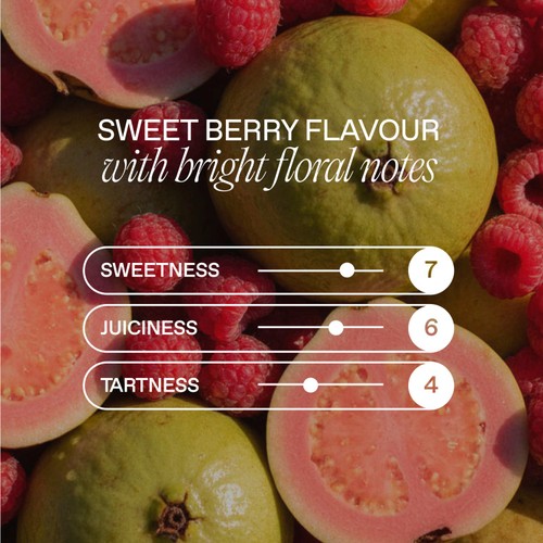 Goodrays CBD Infused Sparkling Raspberry & Guava 
