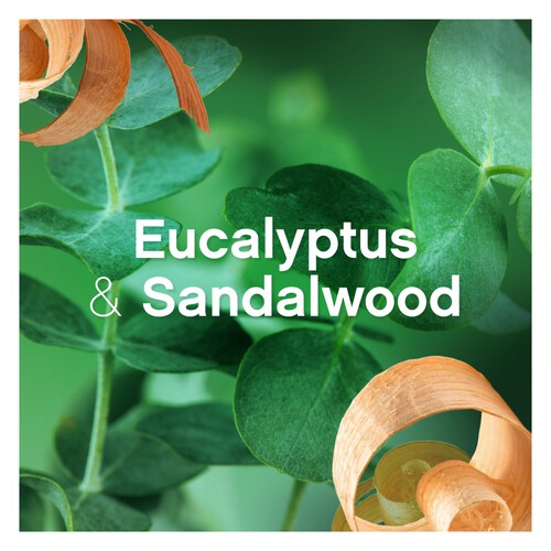 Bold All-In-One Liquid Pods Eucalyptus & Sandalwood 