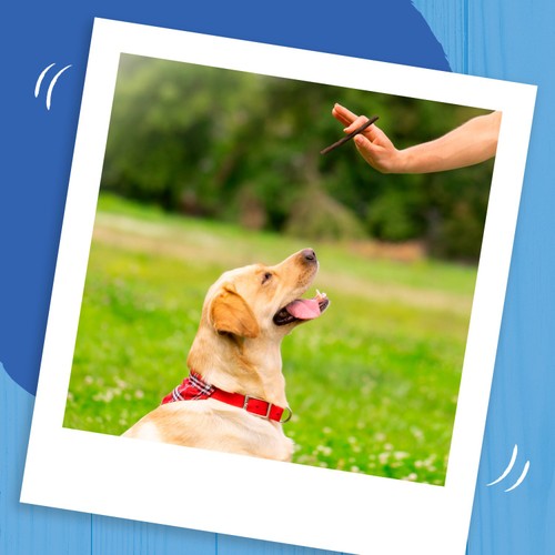 Bakers Rewards Chicken, Beef And Lamb Dog Treats