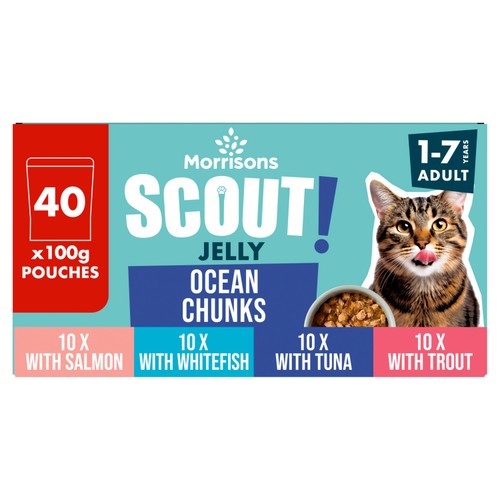 Morrisons Scout Ocean Chunks In Jelly Adult Cat Food 40 x 100g
