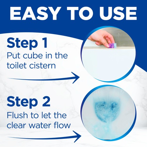Bloo Incistern Toilet Block Flowers 2 x 50g