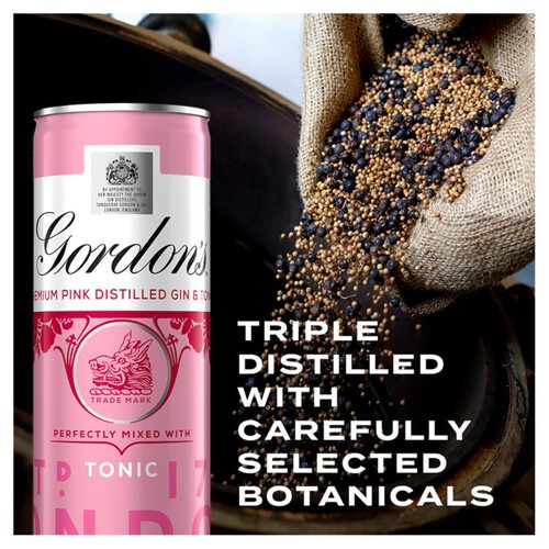 Gordon's Premium Pink Gin & Tonic 5% vol  Ready to Drink Premix Can