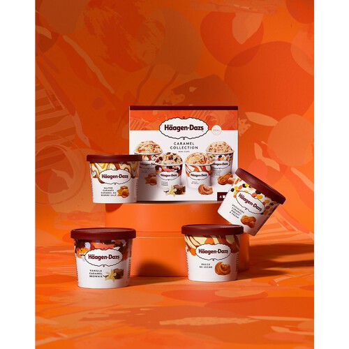 Haagen-Dazs Caramel Collection Ice Cream Mini Cups