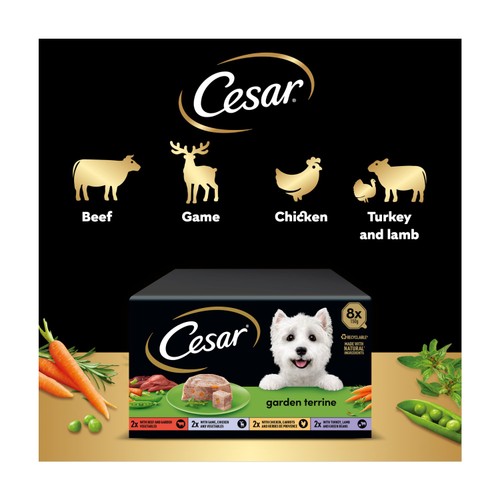 Cesar Garden Terrine Wet Dog Food Tray Mixed in Loaf 8 x 150g