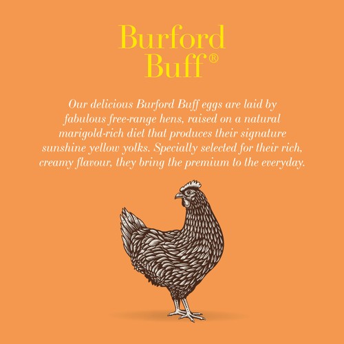 Clarence Court Burford Buff Large Free Range Eggs 6 Pack