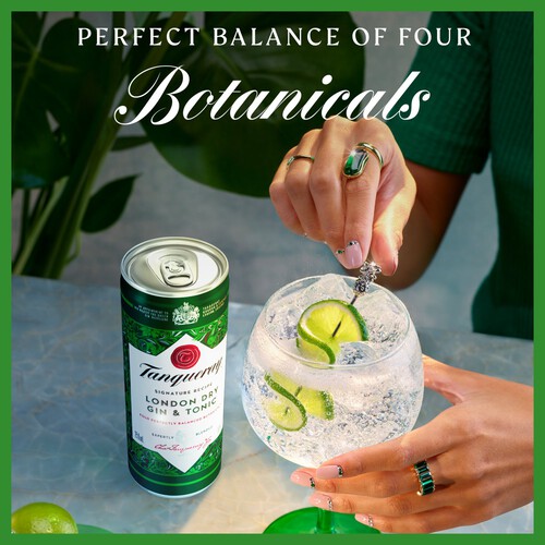 Tanqueray London Dry Gin and Tonic 6.5% vol Premix Can