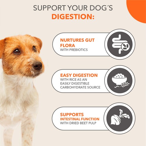 Iams Sensitive Digestion with Turkey 1+ Years 2kg