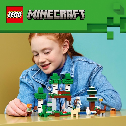 Lego Minecraft First Night Adventure 21593