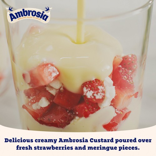 Ambrosia Devon Custard Dessert Can 400g