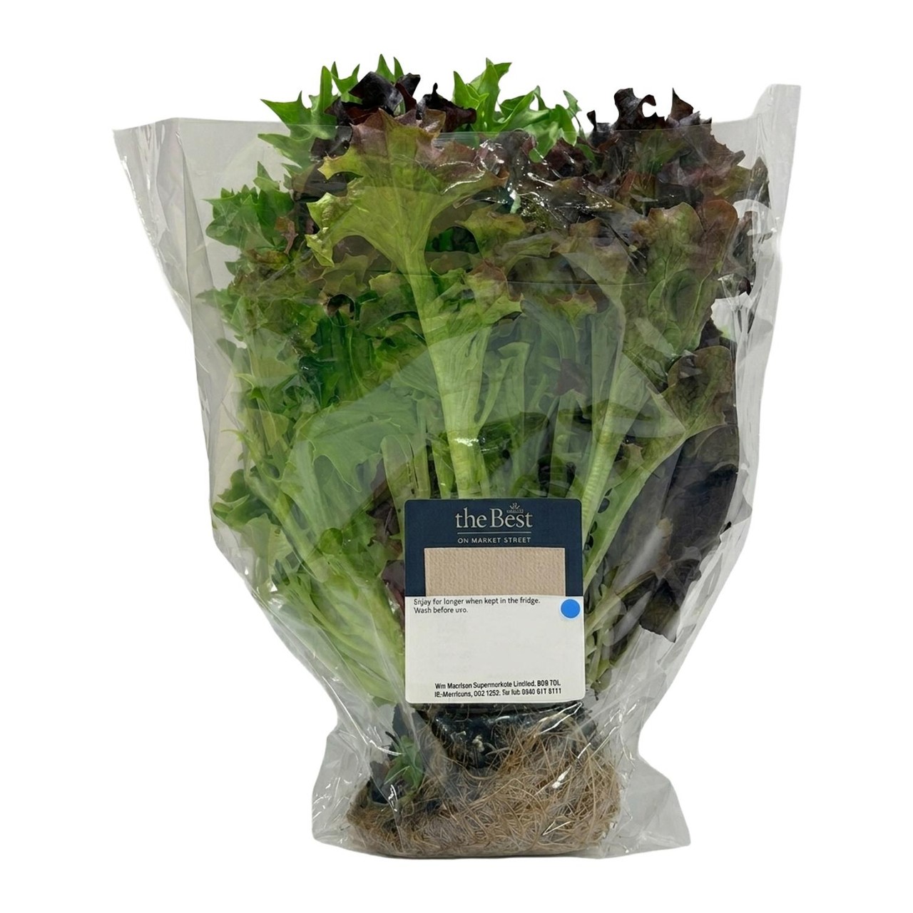 Morrisons The Best Living Lettuce