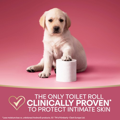 Andrex Skin Protect Toilet Roll 4 Pack