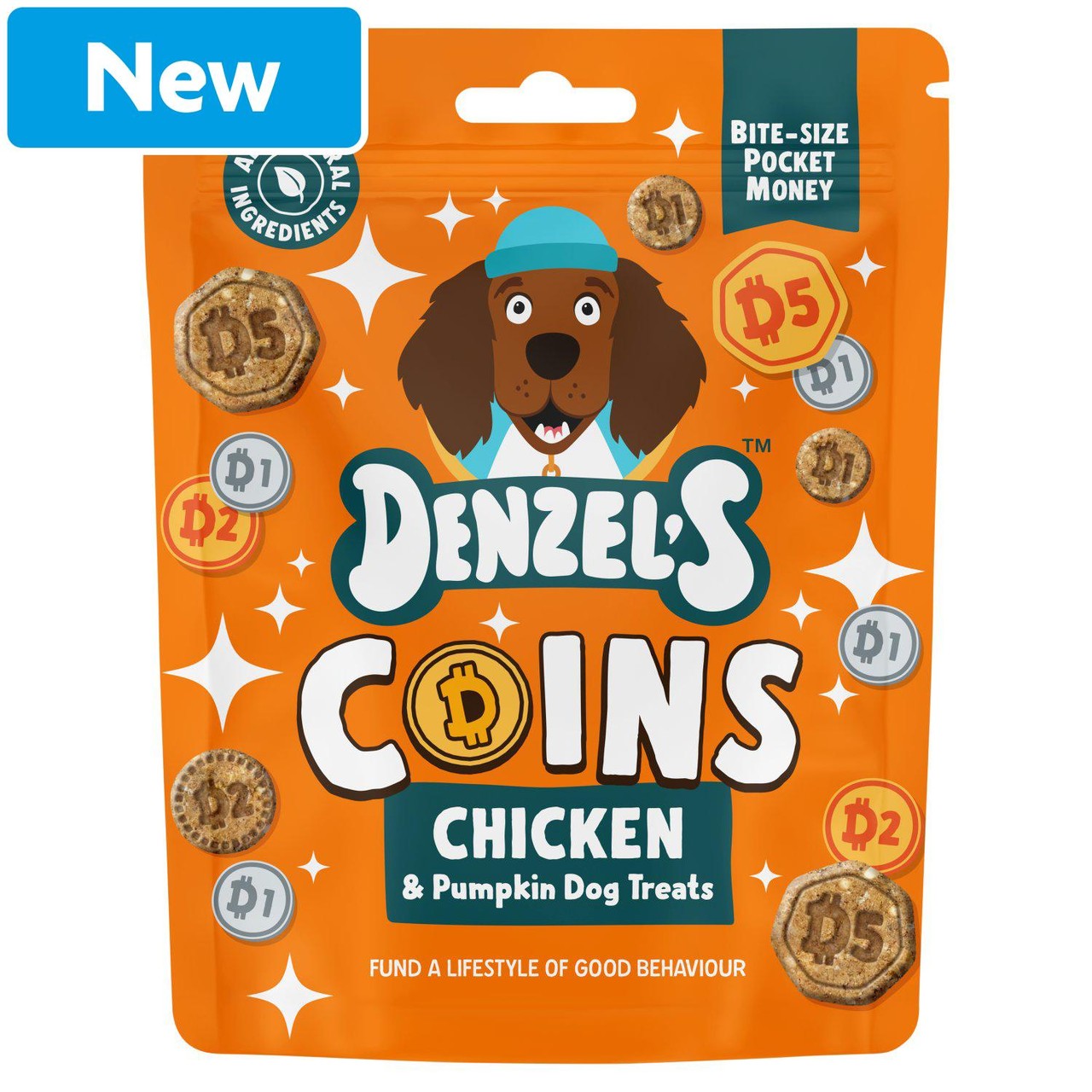 Denzel's Coins Chicken & Pumpkin Dog Treats