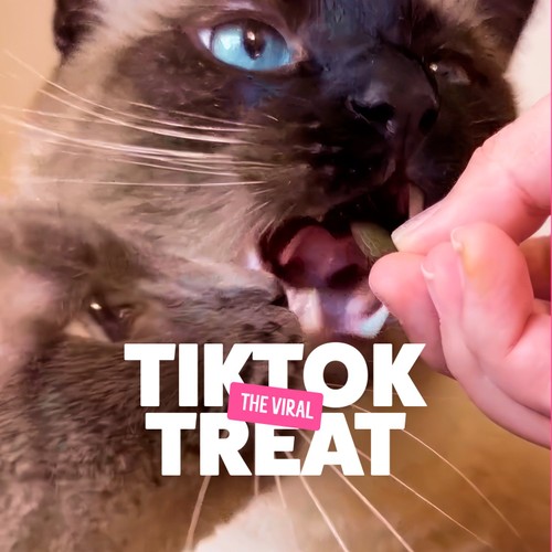 Bonkers Bangin Beef Flavour Cat Treats
