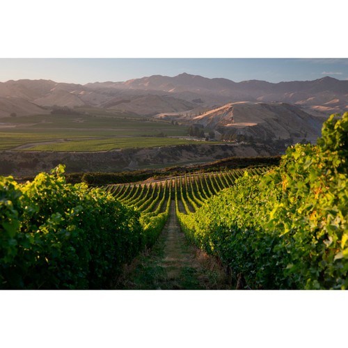 Villa Maria Private Bin Chardonnay 