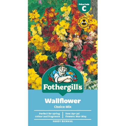 Mr Fothergill's Wallflower Choice Mixed Seeds