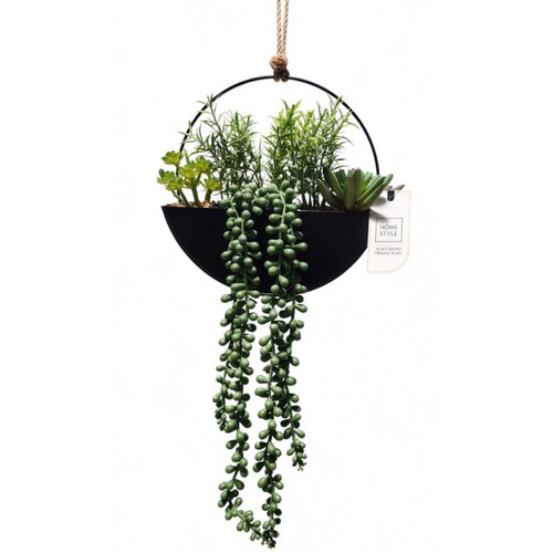 Home Style Black Round Trailing Plant