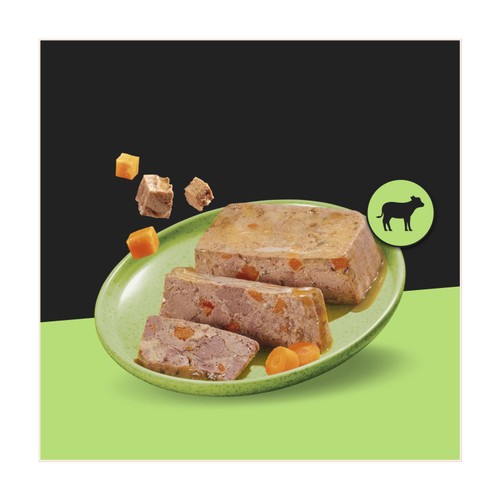 Cesar Garden Terrine Wet Dog Food Tray Mixed in Loaf 8 x 150g