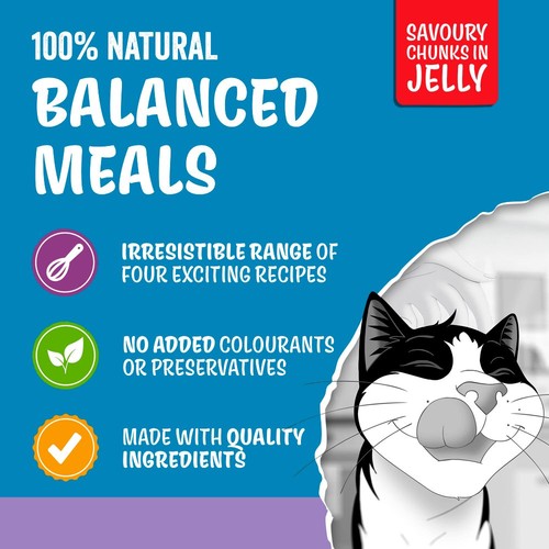Felix Original Senior 7+ Mixed Selection in Jelly Wet Cat Food 40x85g