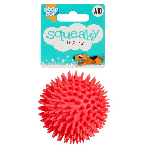 Good Boy Squeaky Toy
