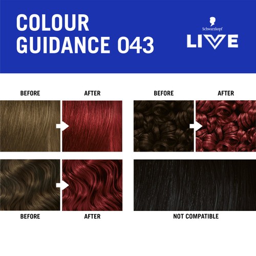 LIVE Intense Colour Permanent Hair Dye 043 Red Passion