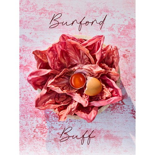 Clarence Court Burford Buff Large Free Range Eggs 6 Pack