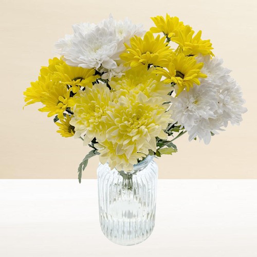 Morrisons Mixed Chrysanthemums