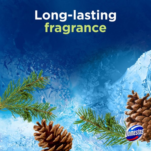 Domestos Power Rimblocks Duo Pine 2 x 50g