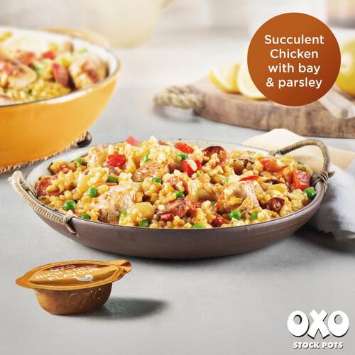 Oxo Stock Pot Succulent Chicken