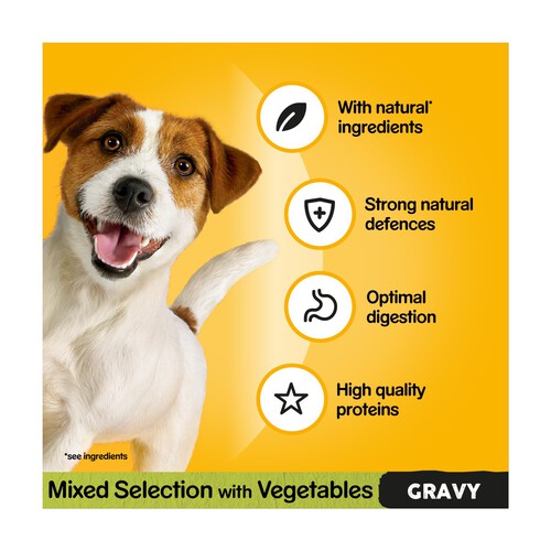 Pedigree Adult Wet Dog Food Pouches Mixed Selection in Gravy Mega Pack